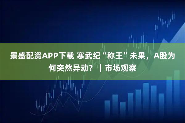 景盛配资APP下载 寒武纪“称王”未果，A股为何突然异动？｜市场观察