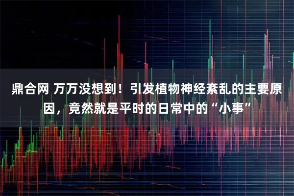 鼎合网 万万没想到！引发植物神经紊乱的主要原因，竟然就是平时的日常中的“小事”